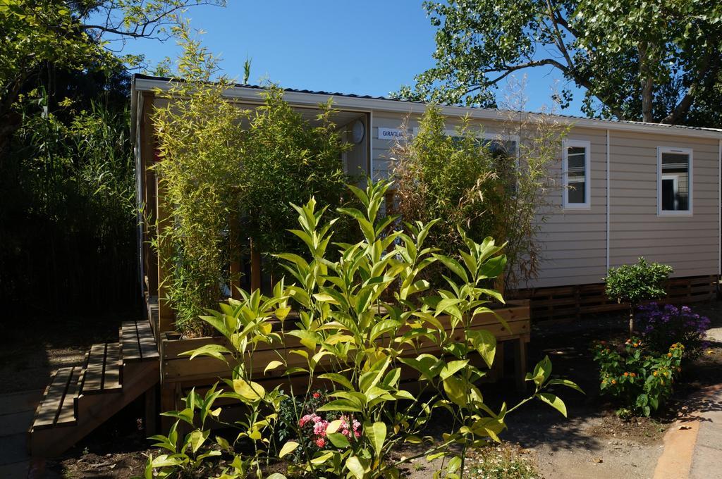 Camping International Calvi  Ngoại thất bức ảnh