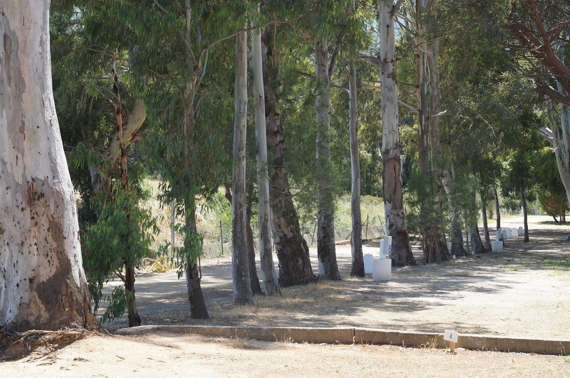 Camping International Calvi  Ngoại thất bức ảnh