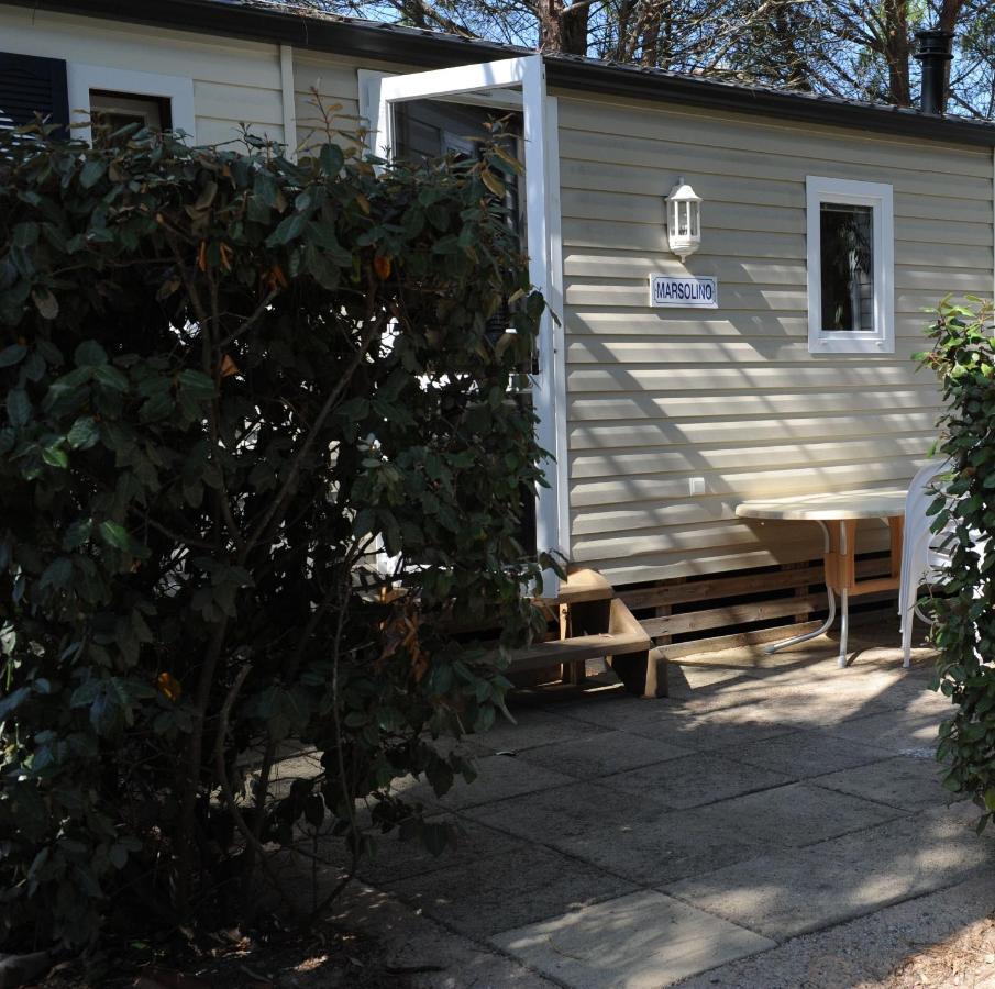 Camping International Calvi  Ngoại thất bức ảnh